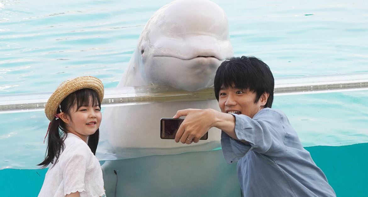 監察医朝顔2ロケ地水族館